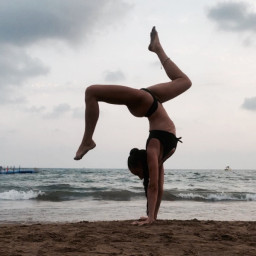 Nikoll.fit  @nikoll.fit
